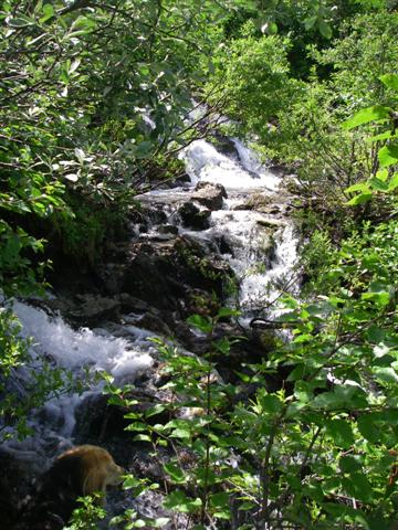 A cascading creek